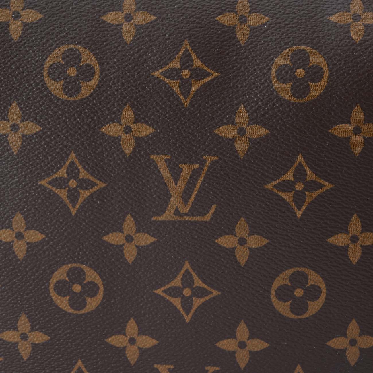 LOUIS VUITTON(USED)루이비통 M46311 모노그램 루프 호보백